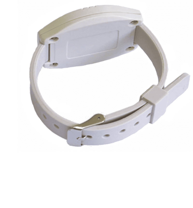 kutsupainike seniorivahti